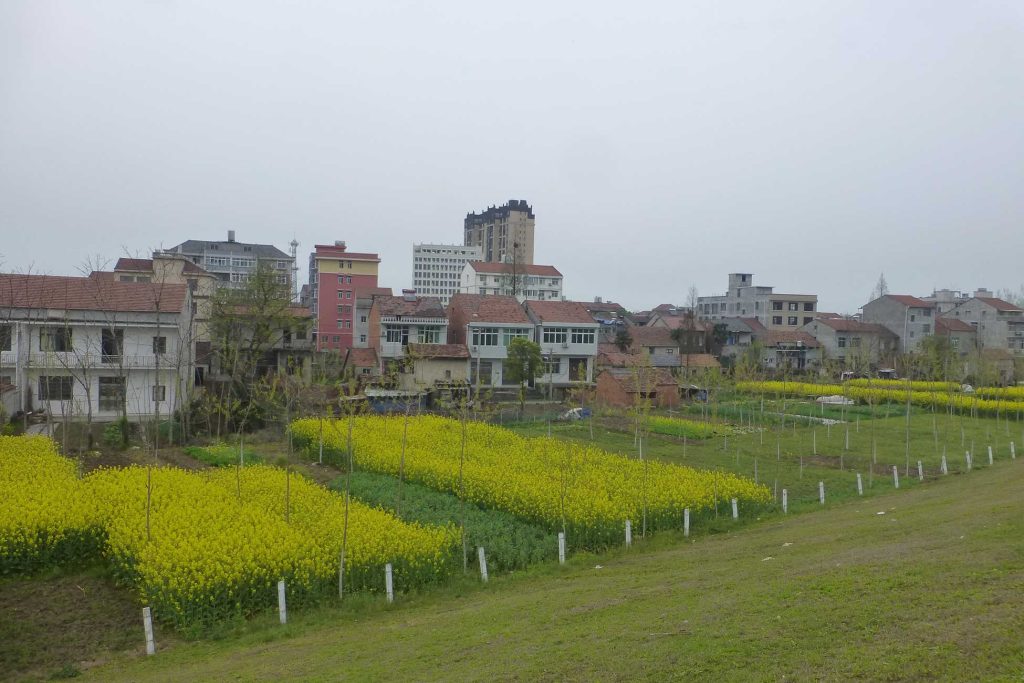 Register Company In Guangshui