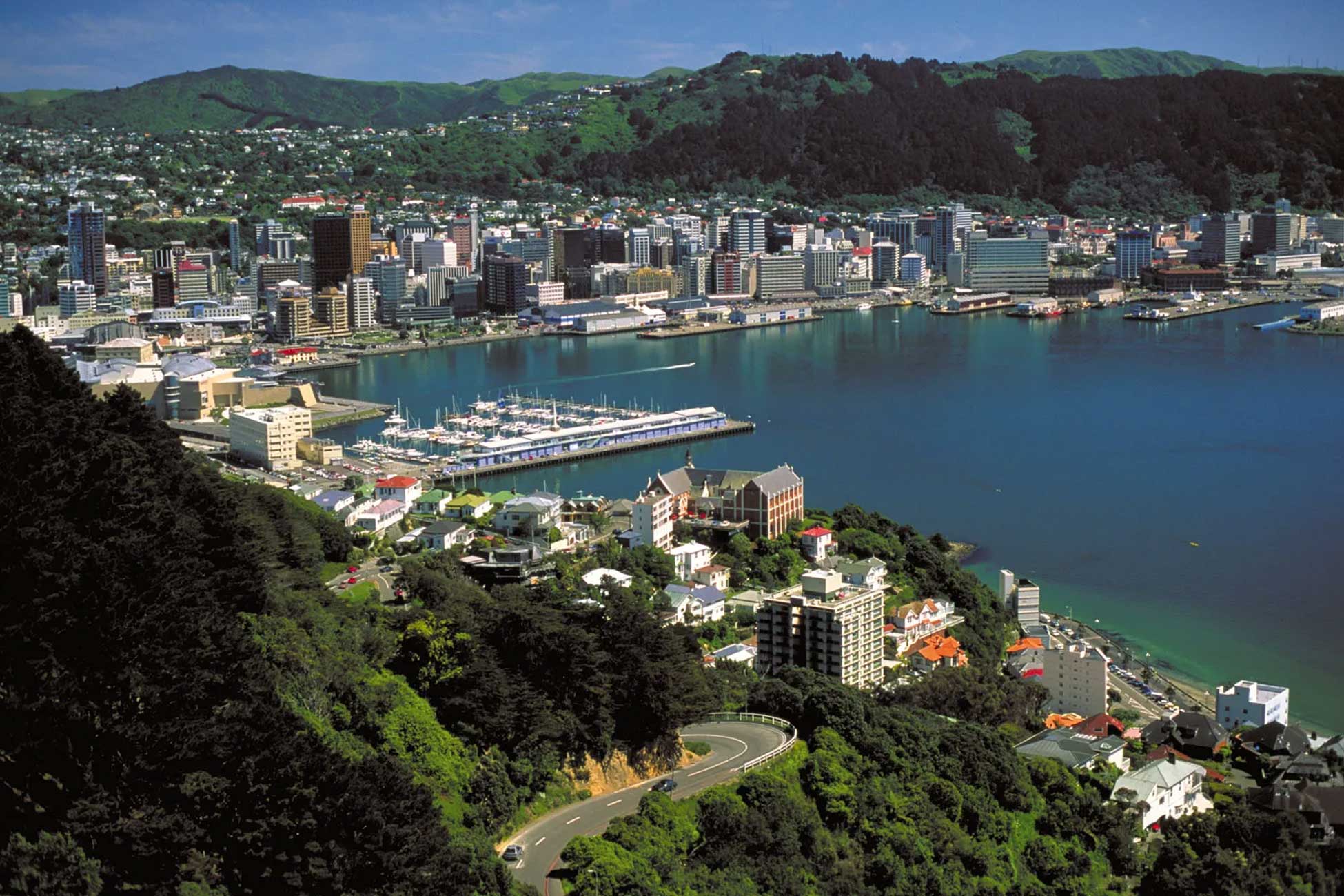 Register Company In New Zealand